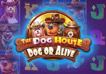 Игра The Dog House Dog Or Alive в казино ДаСДК